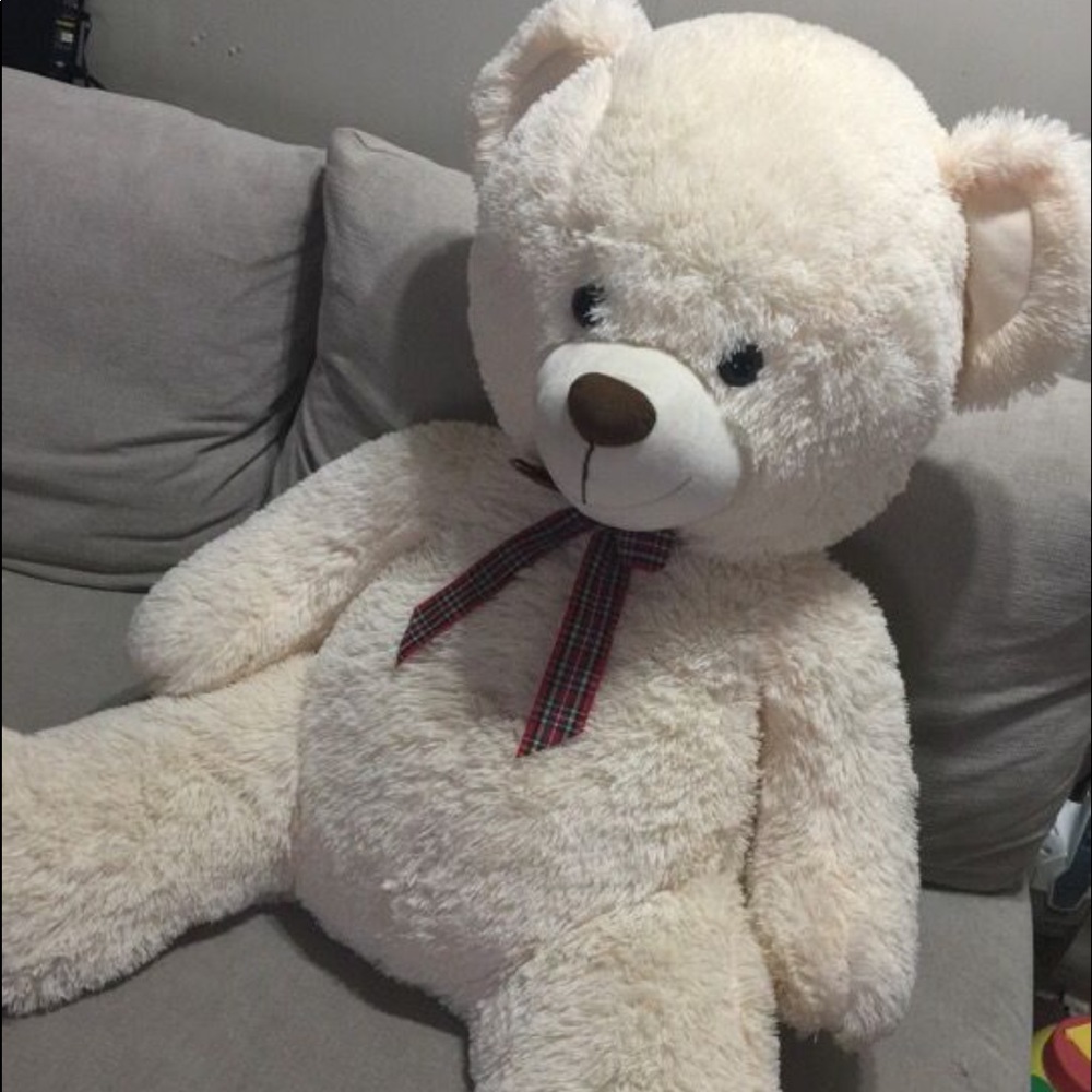 Big Teddy Bear
